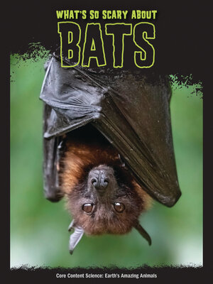 cover image of What's So Scary about Bats?